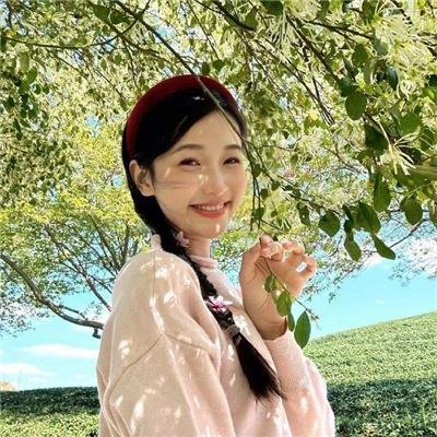 春情妃子